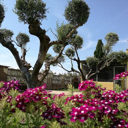 B&B Casa Degli Ulivi Нетуно Екстериор снимка