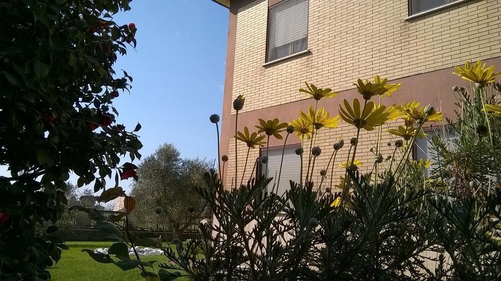 B&B Casa Degli Ulivi Нетуно Екстериор снимка
